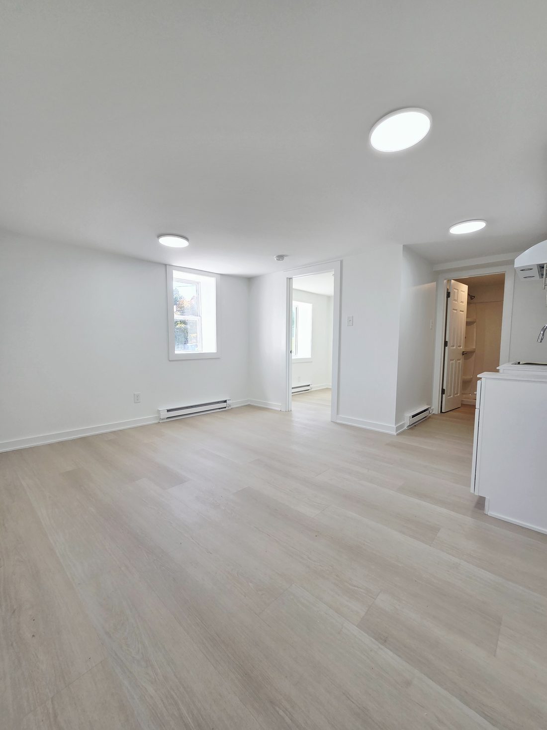 Apt 1, Chase Street living area